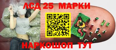 гидра Бузулук