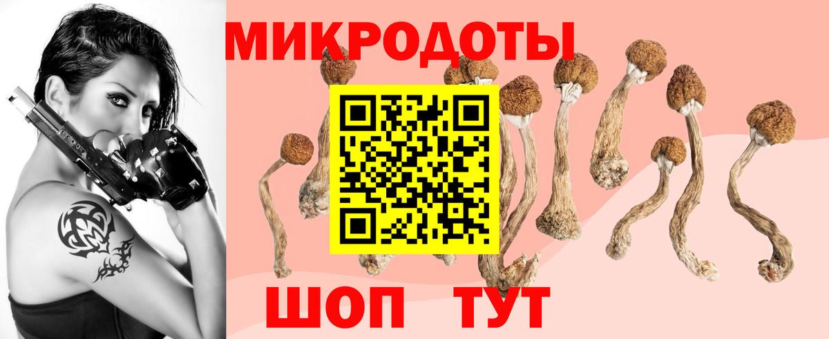 Галлюциногенные грибы прущие грибы  Вход с VPN  Смоленск 
